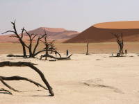 Siteseeing Namibie 2011